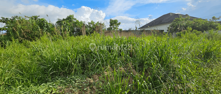 Tanah Aset Mandiri, Sangatta Utara, Kalimantan Timur 1