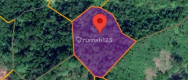 Tanah Murah Aset Mandiri, Batang Masumai, Jambi 1