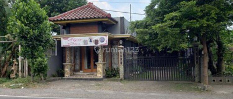 Rumah Murah Aset Mandiri, Lombok Timur, Nusa Tenggara Barat 1