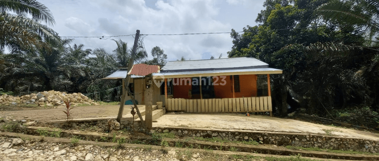 Rumah Murah Aset Mandiri, Long Ikis, Kalimantan Timur 1