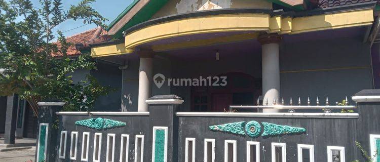 Rumah Murah Aset Mandiri,Pekalongan Utara, Pekalongan 1