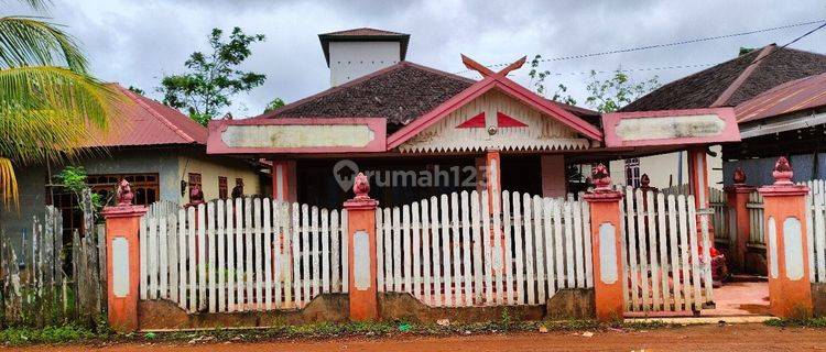 Rumah Murah Aset Mandiri, Cempaga, Kalimantan Tengah 1