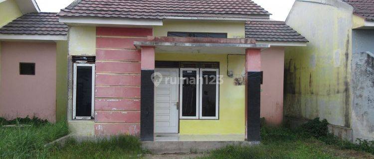 Rumah Murah Aset Mandiri, Baamang, Kalimantan Tengah 1