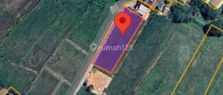 Tanah Murah Aset Mandiri, Kota Kayu agung, Sumatera Selatan 1