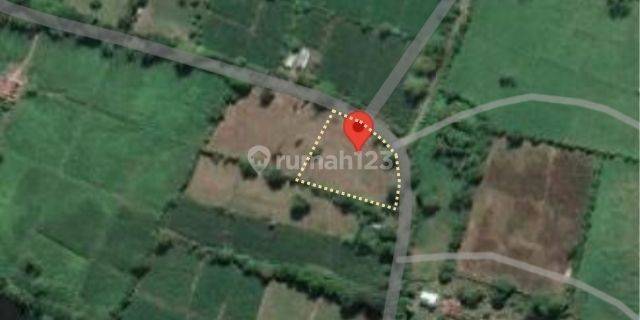 Tanah Murah Aset Mandiri, Dompu, Nusa Tenggara Barat 1