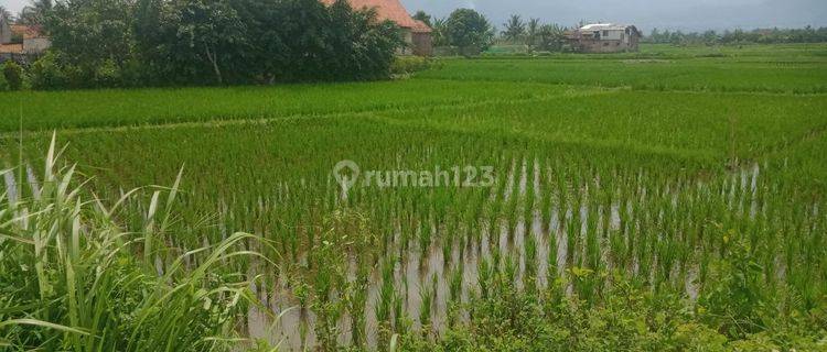 Tanah Cocok Dibangun Gudang Atau Perumahan di Garut 1