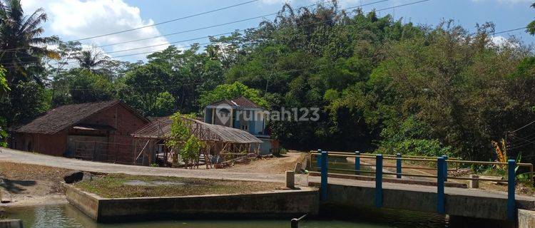 Rumah 2 Lantai Murah View Sawah Gunung Sungai Nuasa Desa 1