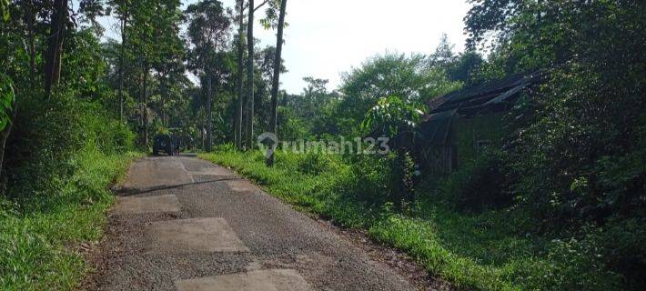 Tanah Pekarangan Luas Murah Utk Kebun Kandang Di Tepusen Kaloran Temanggung 1