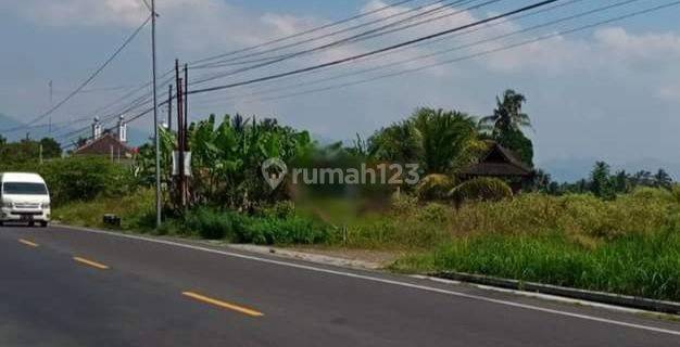 Tanah Kosong Pinggir Jalan Raya, Strategis untuk Usaha, Dekat Borobudur Jalan Raya Magelang Yogyakarta 1