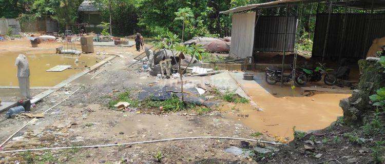 Dijual Tanah Pertanian Luas Tepi Jalan Utama Di Bantul 1