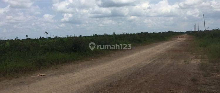 Dijual Tanah Dekat Kantor Bupati Kubu Raya Kalimantan Barat 1