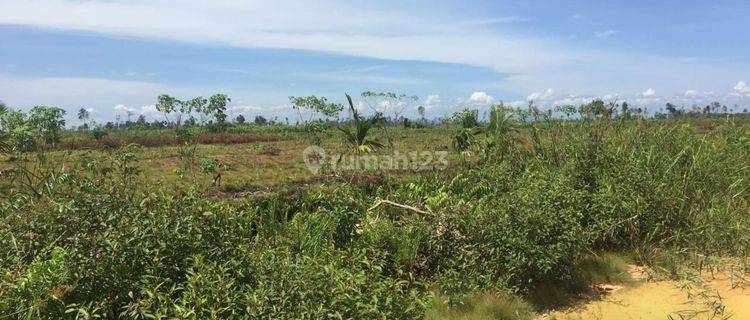 Tanah Luas Dekat Pontianak, Harga Minim Potensi Maksimal 1