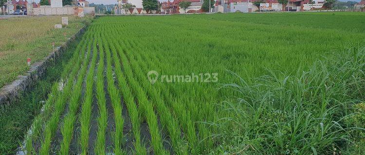 Tanah Luas Kawasan Premium Dekat Candi Prambanan 1