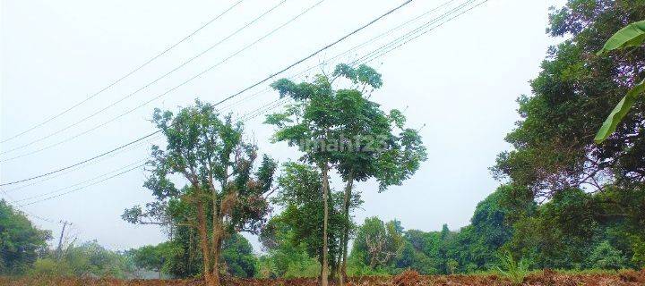 Miliki Tanah Kavling di Bekasi, Legalitas SHM Aman  1