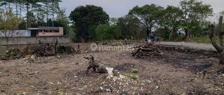 Tanah Kavling Murah Asri Free SHM di Sentul Bogor 1