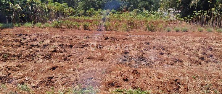 Kavling Murah Siap Bangun Rumah Hunian Hanya 2 Jutaan di Bogor 1