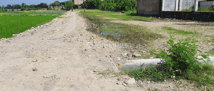 Tanah Kavling Cibinong Dengan Akses Mudah Ke Tempat Hiburan  1