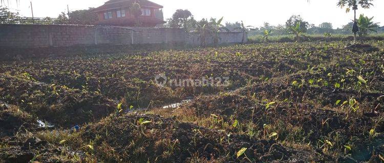 Tanah Kavling Dramaga Dekat Dengan Kampus Tol 1