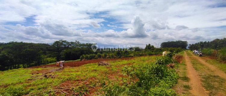 Tanah Kavling Cibinong Investasi Aman, Masa Depan Cerah  1