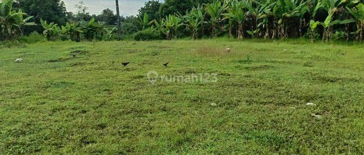 Hanya 90 Jt-an Kavling Villa & Hunian Cibarusah, Bekasi 1