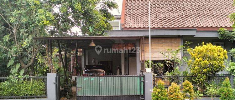 Rumah Asri, Di Jalan Mahoni Perumahan Graha Indah Bogor  1