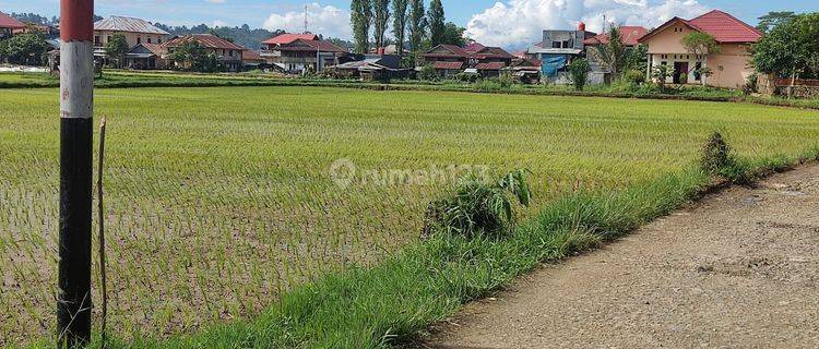 Dijual Sawah Lokasi Strategis Daerah Mentirotiku Tana Toraja Utara 1