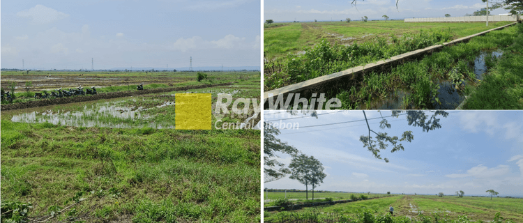 Dijual Tanah Kosong Luas 20.345 m² di Rawaurip, Cirebon 1