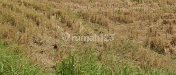 Dijual Tanah Di Jalan Kanci Astanajapura Dekat Tol Kanci Cirebon 1