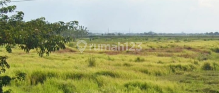 Dijual Tanah Industri Di Daerah Pabedilan Ciledug, Cirebon 1