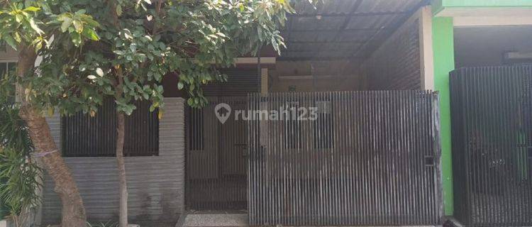 Rumah Bagus Minimalis Siap Huni Murah Perumahan Sukolilo Regency 1