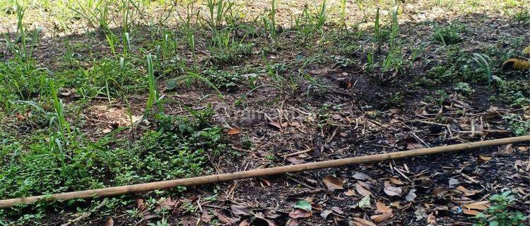 Tanah Murah Area Pemukiman Dekat Pesantren Di Gondanglegi Malang 1