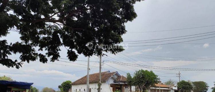 Tanah Luas Dan Strategis Poros Jalan D Paiton Probolinggo 1