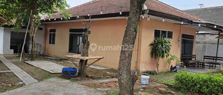 Rumah Depan Kampus Univ Jember Termurah Cocok Untuk Kafe Atau Usaha  1