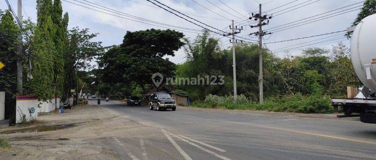 Tanah Strategis Poros Jalan Surbaya Dan Situbondo Super Luas Di Paiton 1