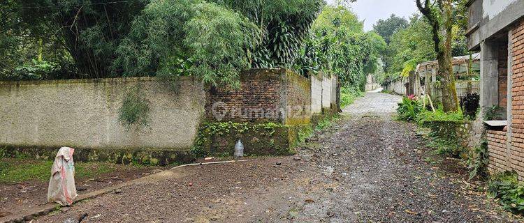 Jual Tanah Kebun Durian 13000m² Siap Panen Dan Berbagai Macam Pohon, Bonus 2 Villa Di Ciapus, Tamansari Bogor,  1