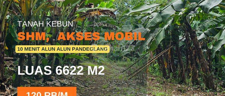 Di Jual Tanah Kebun View Gunung Di Pandeglang Banten 1