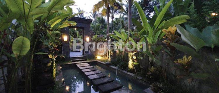 Disewakan Villa Mewah Gaya Bali, Private Pool Bathtub di Tabanan Bali 1