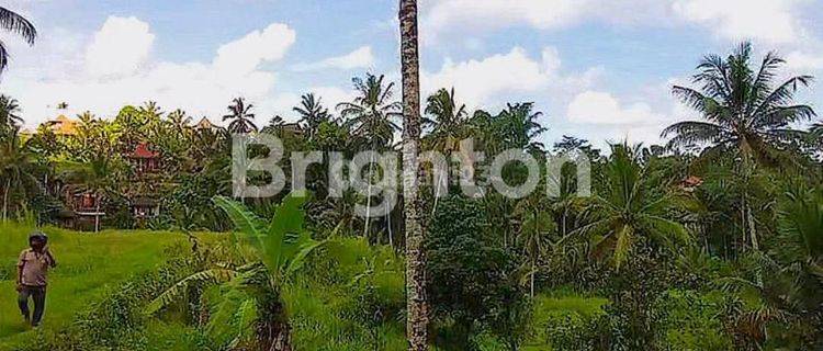 Plot of Land under the Market! in Tegallalang Gianyar Bali 1