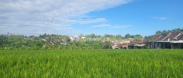 Disewakan Villa Mewah Gaya Bali di Tabanan, Bali. Barang Langka  1