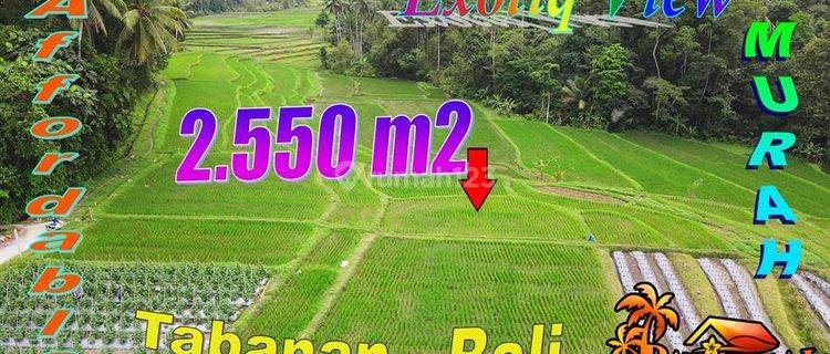 Area Penatahan Dekat Wisata Air Panas 2,550 M2 di Penebel 1