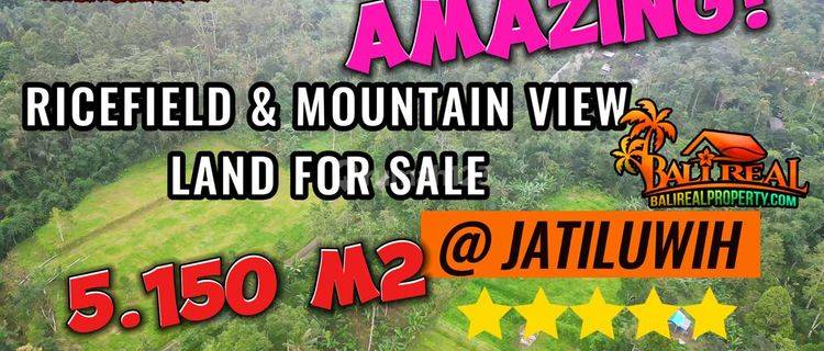 Strategis 51.5 Are View Hutan Dan Gunung Pinggir Jalan Aspal 1