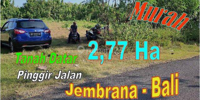 Pinggir Jalan 27.700 m2 di Jembrana dekat Pelabuhan 1