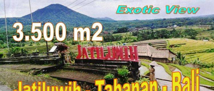 Pinggir Jalan Hotmix 3,500 M2 di Penebel View Cantik Alami 1