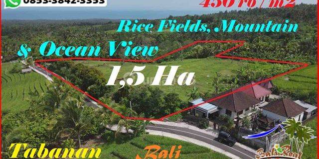 Lahan Kering 15.000 M2 Untuk Peluang Investasi di Bali 1