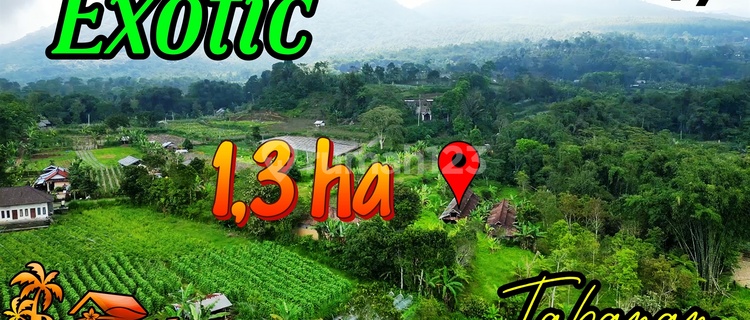 View Cantik ke Arah Gunung dan Perkebunan 13,000 m2 di Baturiti 1
