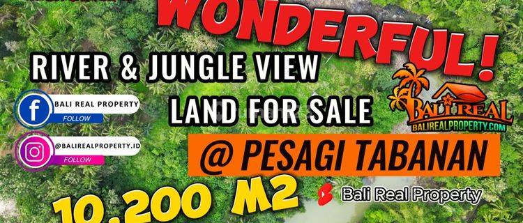 10,200 M2 Tanah Kebun Dijual Murah Akses Jalan Pribadi 1