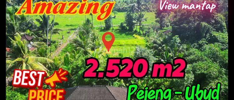 View Hutan dan sawah 2,520 m2 di Tampaksiring Ubud 1