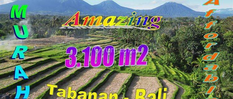 Lokasi Penebel Tabanan 3,100 M2 Pinggir Jalan Beton 1