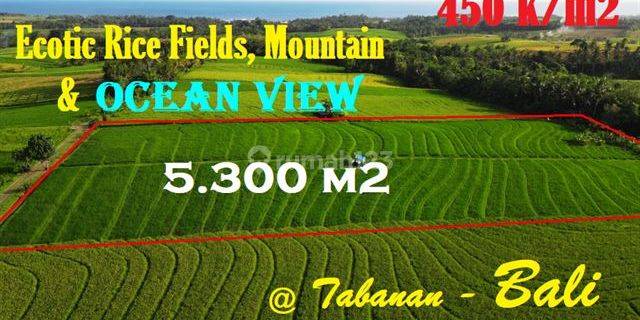 View Sawah, Gunung Dan Laut 5,300 M2 di Selemadeg Tabanan 1