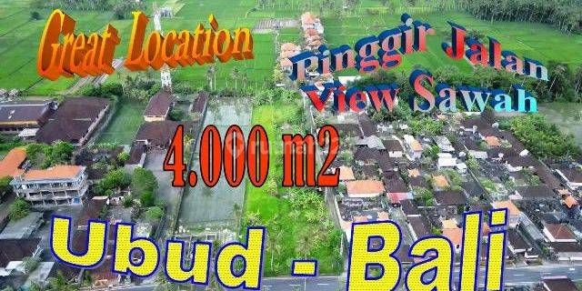 Dijual Nett Tanah Pinggir Jalan Seluas 4,000 M2 1